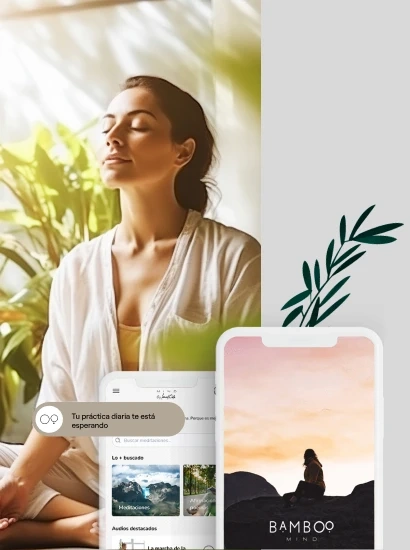 Proyecto Bamboo Mind